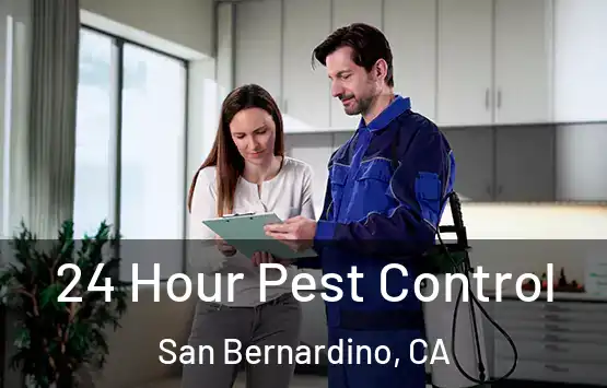  24 Hour Pest Control San Bernardino, CA
