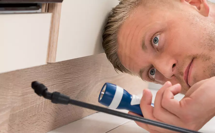 Top-Notch Pest Control in San Bernardino