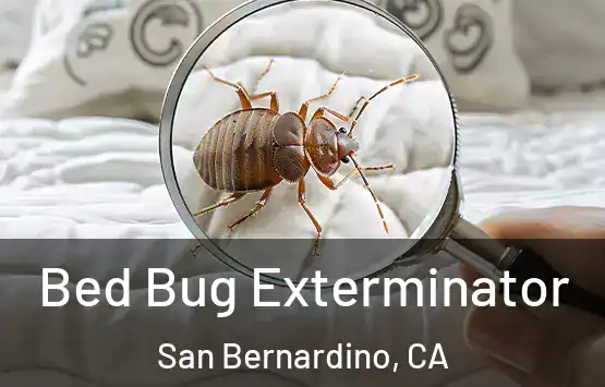  Bed Bug Exterminator San Bernardino, CA