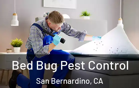  Bed Bug Pest Control San Bernardino, CA