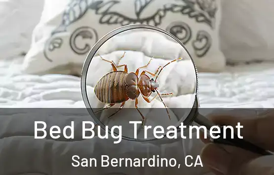  Bed Bug Treatment San Bernardino, CA