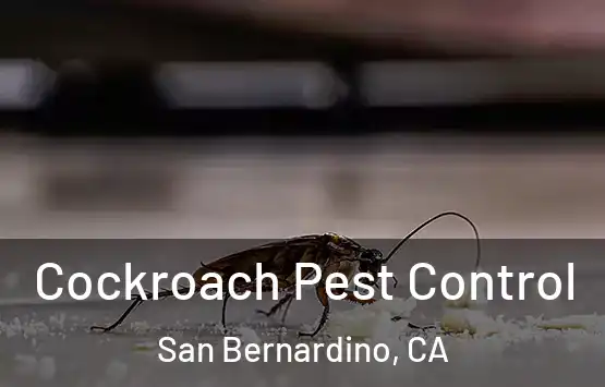  Cockroach Pest Control San Bernardino, CA
