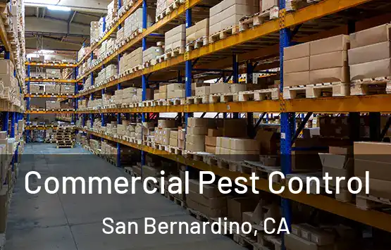  Commercial Pest Control San Bernardino, CA