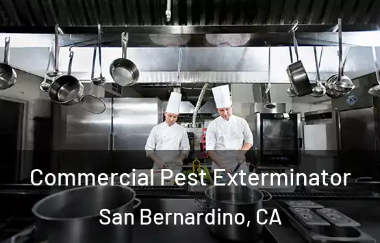  Commercial Pest Exterminator San Bernardino, CA