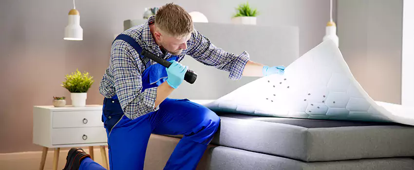 bed-bug-treatment in San Bernardino, CA