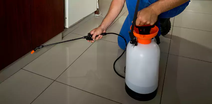 Commercial Pest Extermination for Offices in San Bernardino, CA