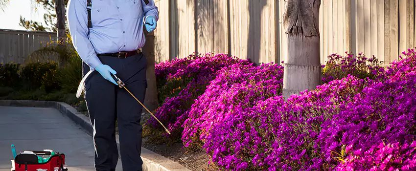 Commercial Mosquito Control Services in San Bernardino, CA