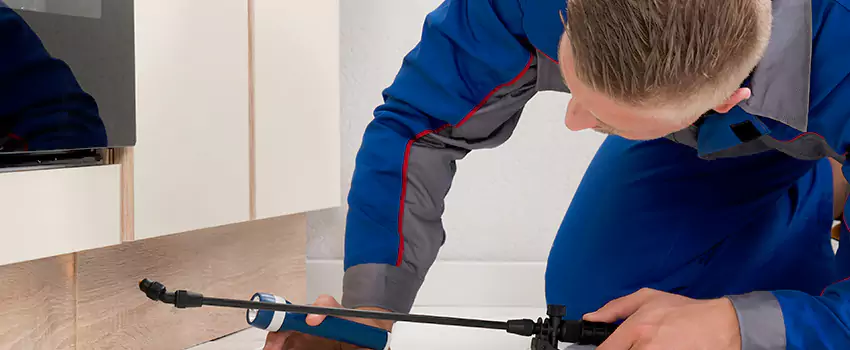 Termite Control for Children and Pets in San Bernardino, CA