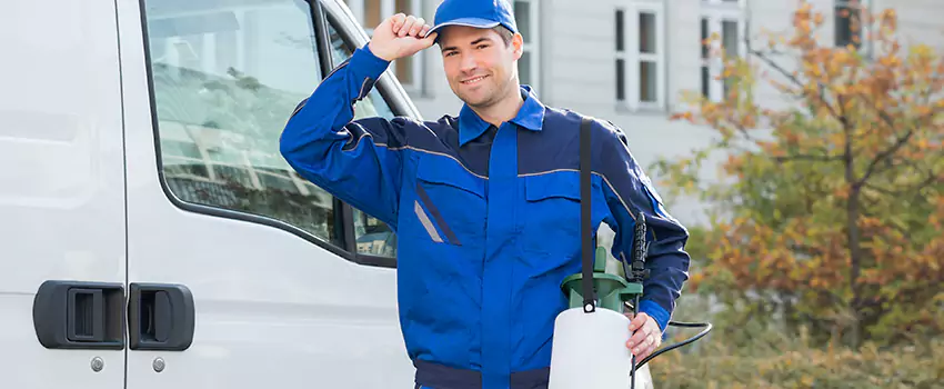 Whitefly Treatment for Bedrooms San Bernardino, CA