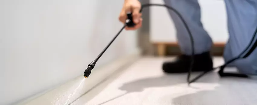 pest-exterminator in San Bernardino, CA