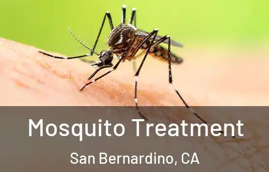  Mosquito Treatment San Bernardino, CA