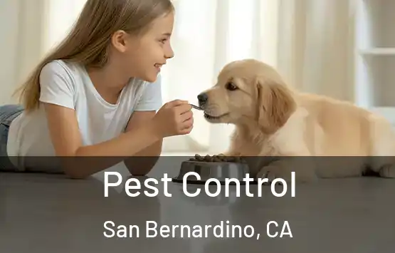  Pest Control San Bernardino, CA