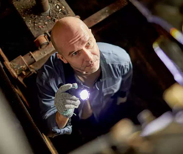 About Rat Inspection San Bernardino