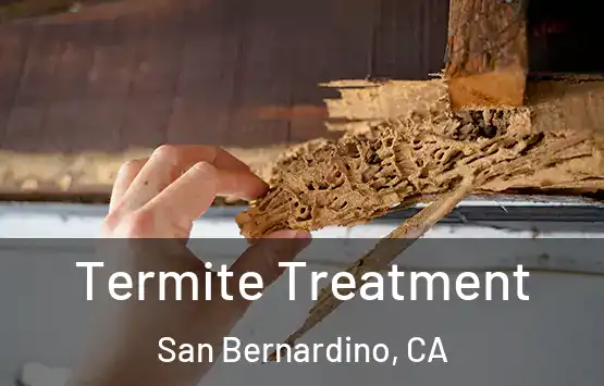  Termite Treatment San Bernardino, CA